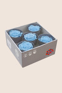 Rose Queen - Box 5 heads