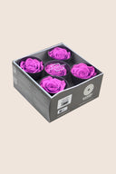 Rose Queen - Box 5 heads