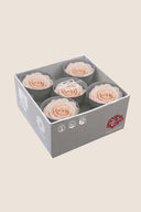 Rose Queen - Box 5 heads