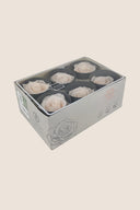 Rose Standard - Box 6 heads