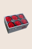 Rose Standard - Box 6 heads