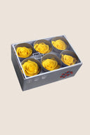 Rose Standard - Box 6 heads