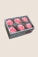 Rose Standard - Box 6 heads