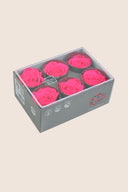 Rose Standard - Box 6 heads