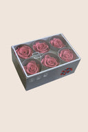 Rose Standard - Box 6 heads