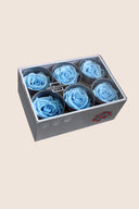 Rose Standard - Box 6 heads
