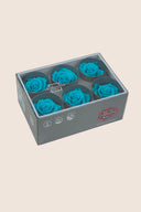Rose Standard - Box 6 heads