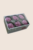 Rose Standard - Box 6 heads