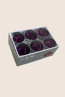 Rose Standard - Box 6 heads