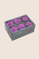 Rose Standard - Box 6 heads