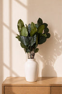 Salal