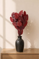 Salal