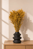 Solidago