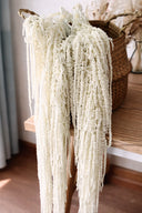 Amaranthus