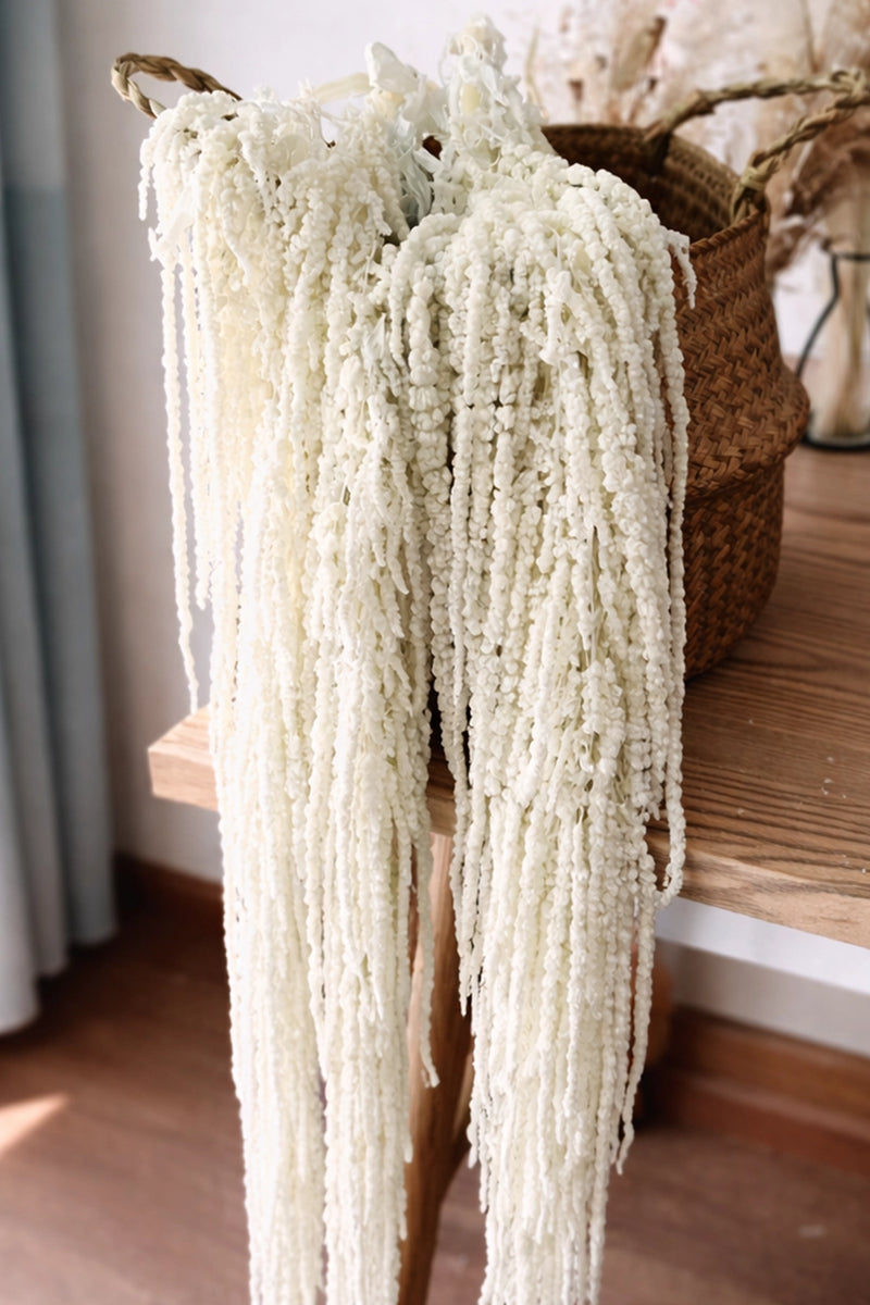 Amaranthus