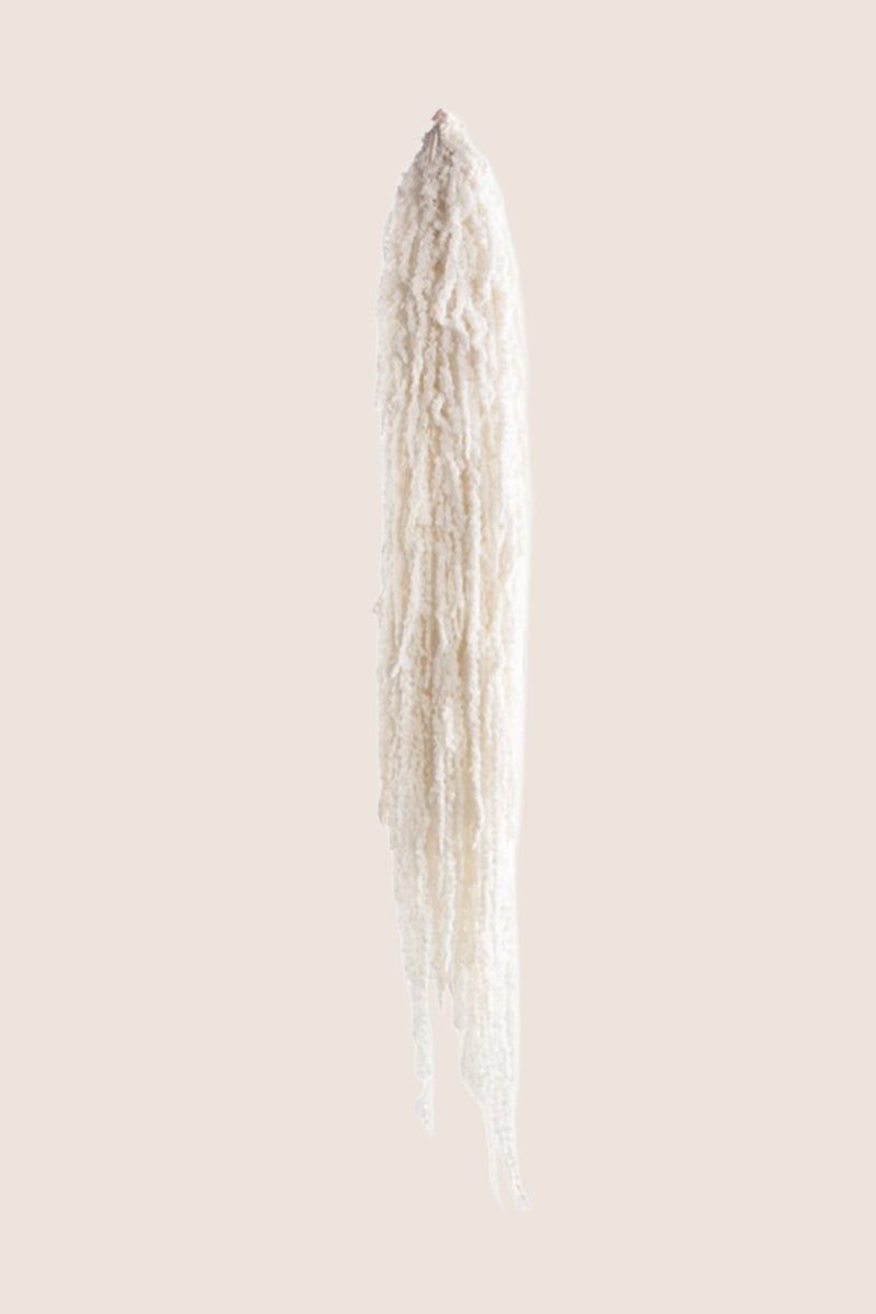 Amaranthus