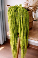 Amaranthus