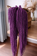 Amaranthus