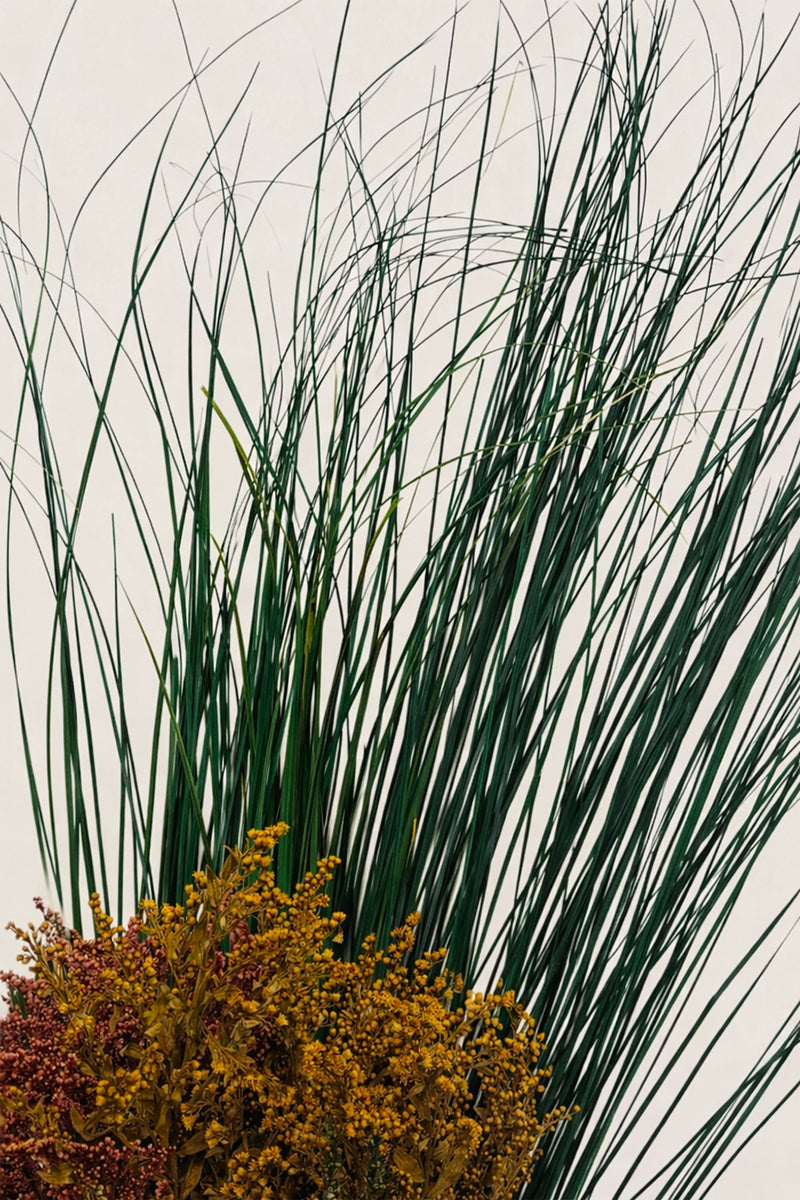 Bear Grass