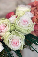 Garden rose - Box 6 heads