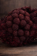Brunia Albiflora