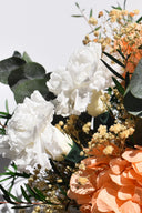 Carnations - Box 6 heads
