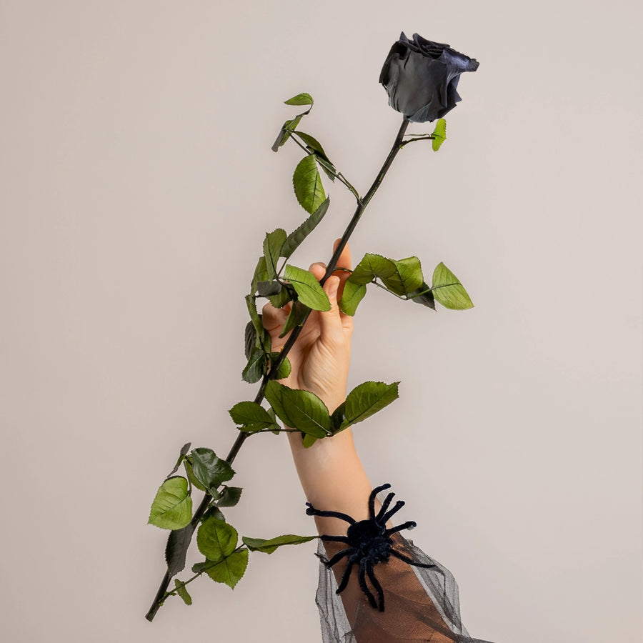 Flower stems