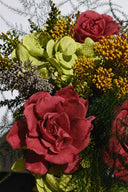 Gardenia- Box 3 heads