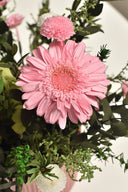 Gerbera Standard Stem - Box 4 u.