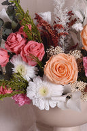 Gerbera Standard Stem - Box 4 u.