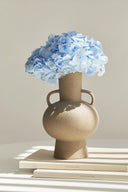 Hortensia Premium