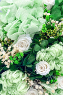 Hortensia Premium