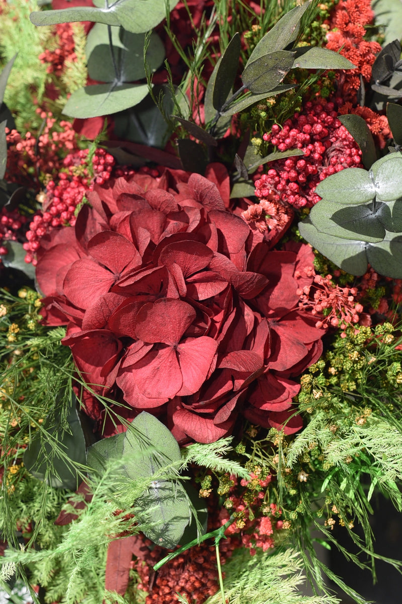 Hortensia Standard