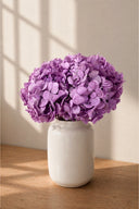Hortensia Premium