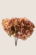 Natural Bicolor Hydrangea