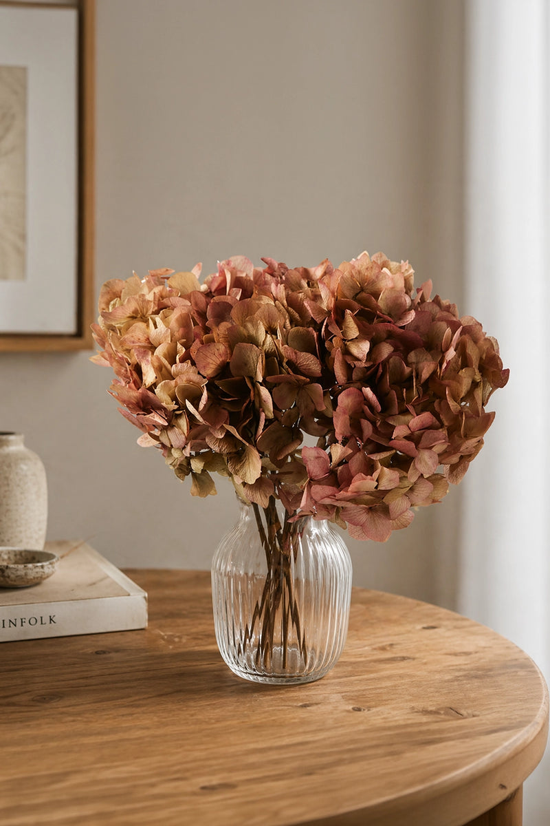 Natural Bicolor Hydrangea