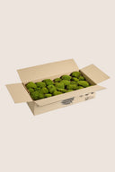 Pole Moss Bulk Fire Retardant - Pack 5.5 Lb.