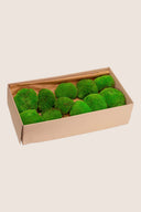 XL Pole Moss Bulk -  Pack 2.64 Lb.