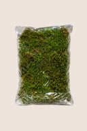 Flat Moss Bag - Pack 1.1 Lb.