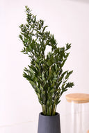 Parvafolia