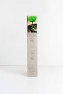 Amorosa Premium Gift Box Stem Rose - Pack 12 u.