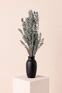 Pubescens