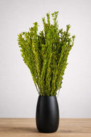 Pubescens