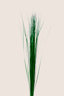 Steel grass