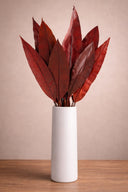 Tropical Leaf
