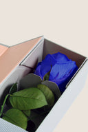 V-Rose Stem Rose