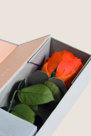 V-Rose Stem Rose