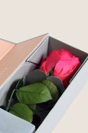 V-Rose Stem Rose