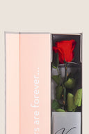 V-Rose Stem Rose