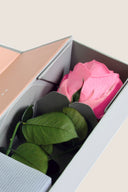 V-Rose Stem Rose